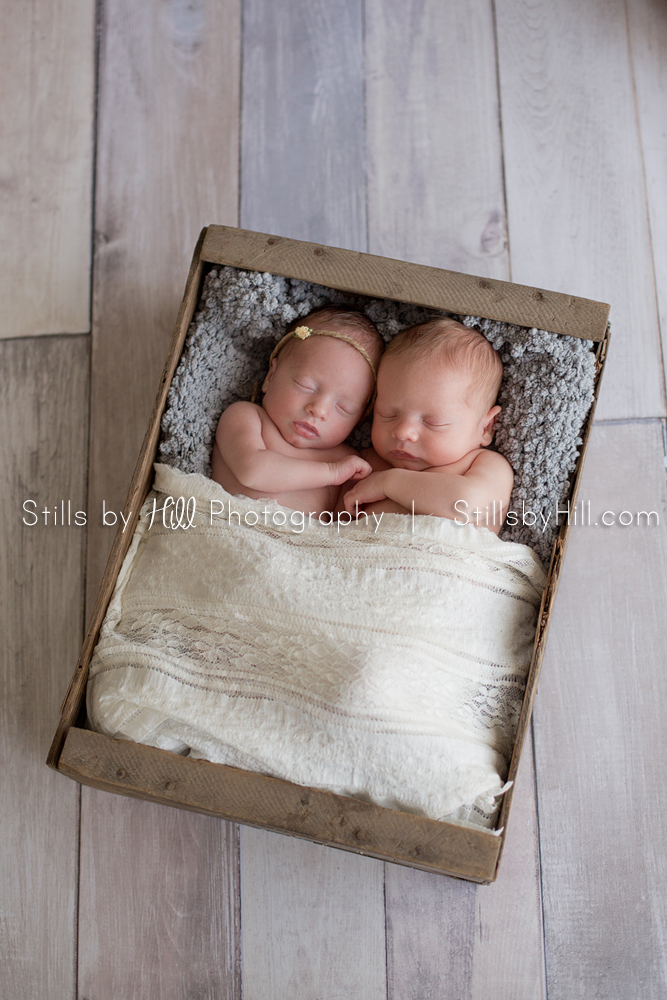 san diego newborn twin baby photographer